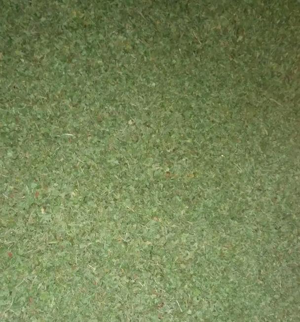 WhatsApp Image 2026-04-16 at 06.03.49